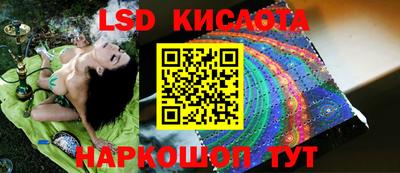 Альфа ПВП Славгород