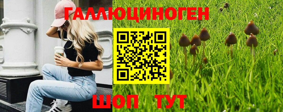 Псилоцибиновые грибы мухоморы  Вход с VPN  наркошоп  Полысаево 